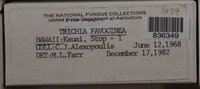 Image Associated With the Occurence